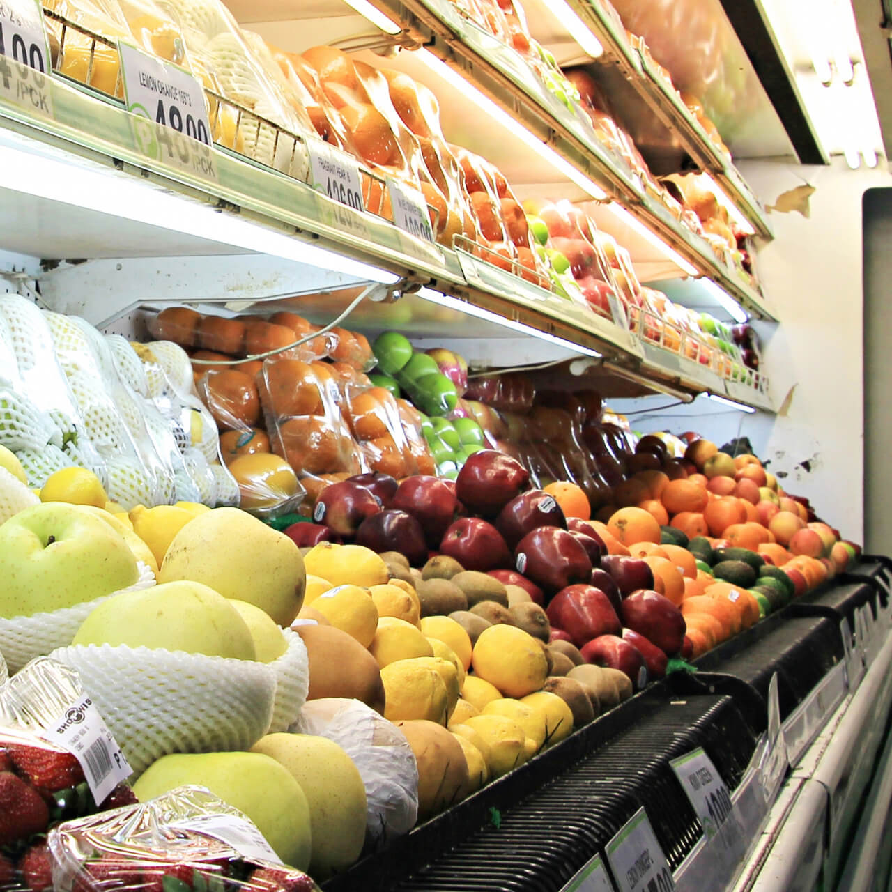 食糧、衣服支援